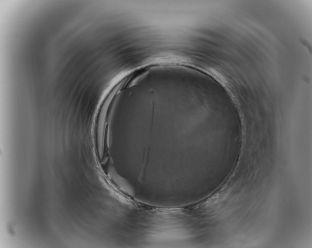 X0000097510864200802291617