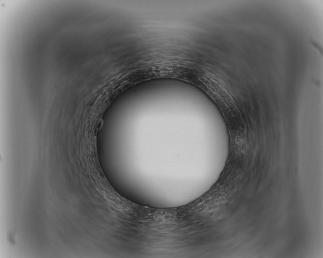 X0000097510865200802291617