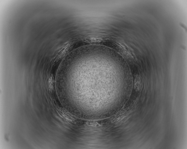 X0000097510866200802291617