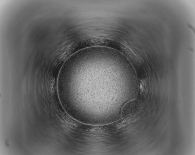 X0000097510867200802291617