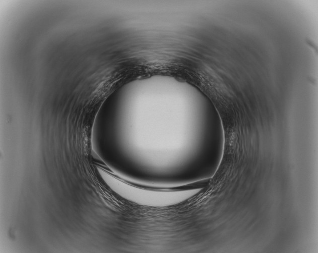 X0000097510868200802291617