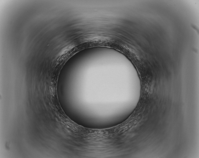 X0000097510869200802291617