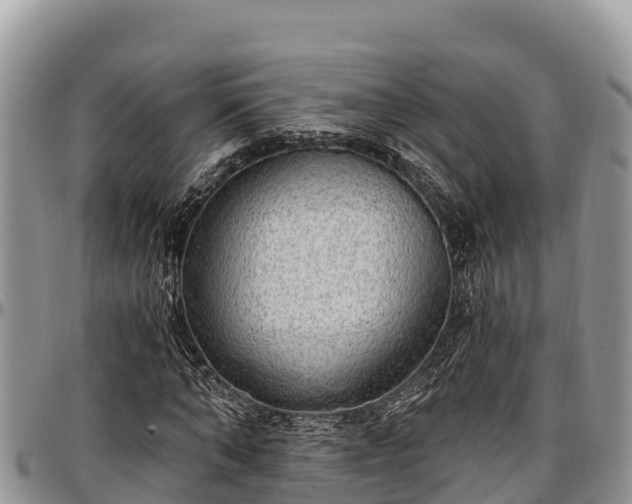 X0000097510870200802291617