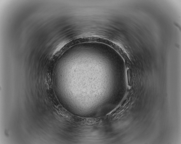 X0000097510871200802291617