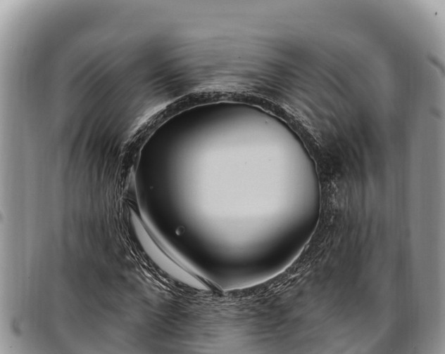 X0000097510872200802291617