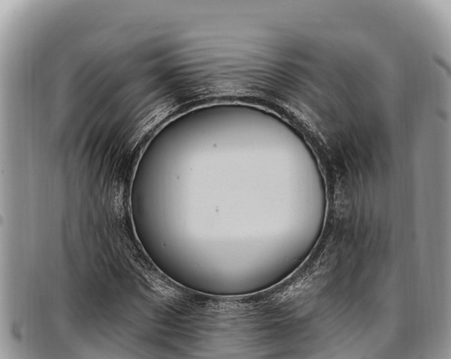 X0000097510873200802291617