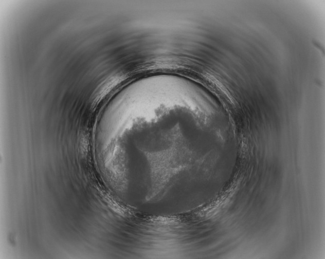 X0000097510874200802291617