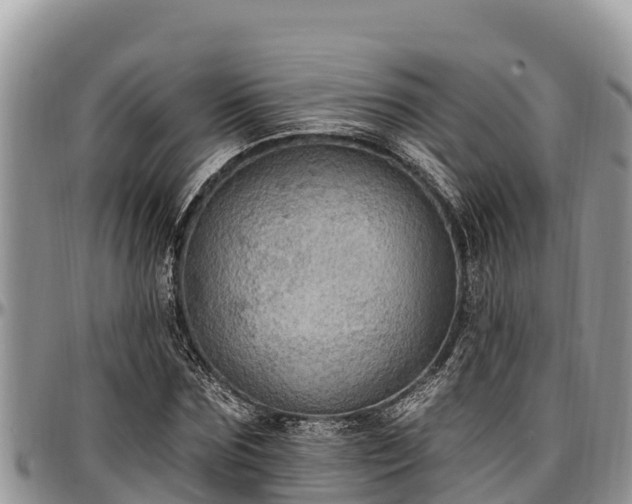 X0000097510875200802291617