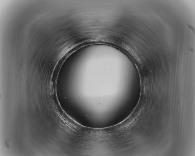 X0000097510876200802291617