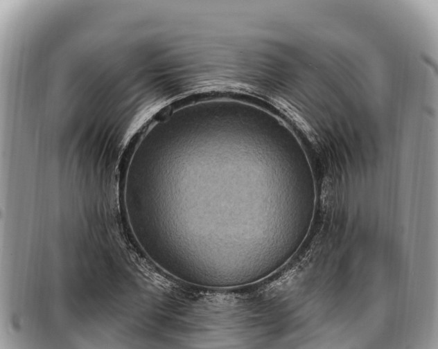 X0000097510877200802291617