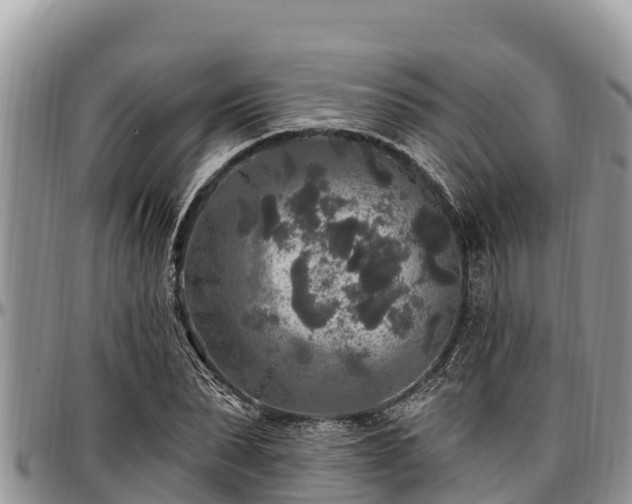 X0000097510879200802291617