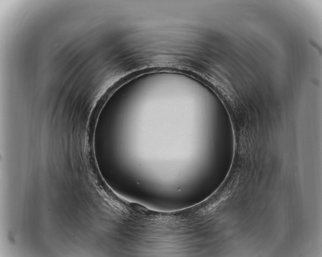 X0000097510880200802291617