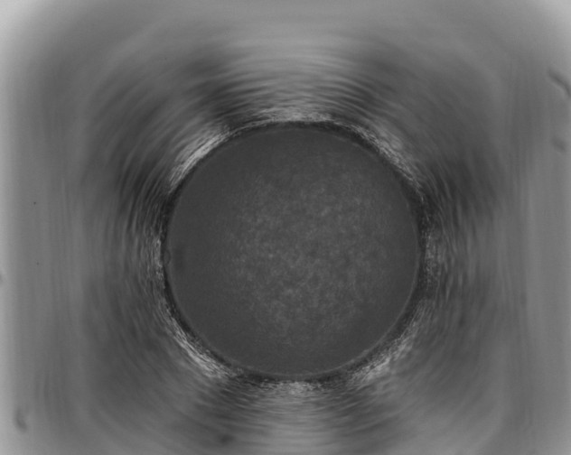 X0000097510881200802291617