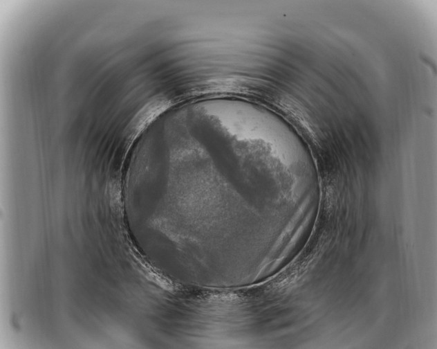 X0000097510882200802291617