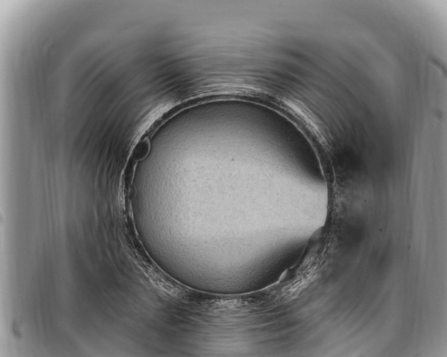 X0000097510883200802291617