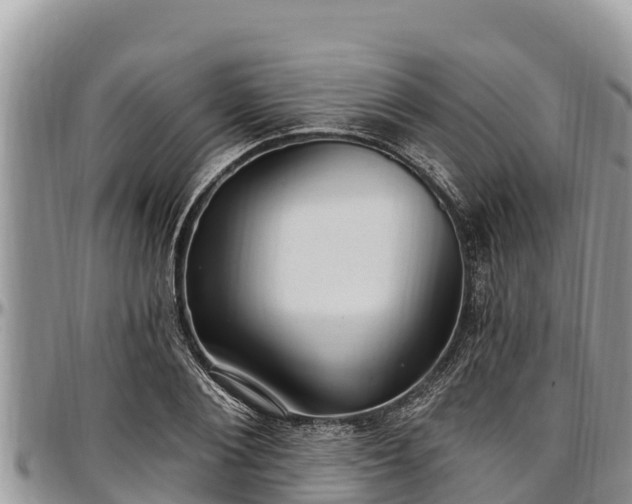 X0000097510884200802291617