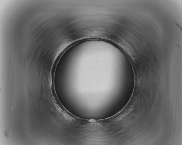 X0000097510888200802291616