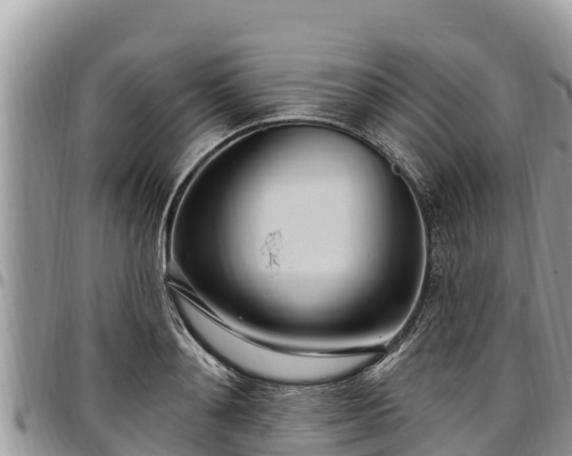 X0000097510892200802291616