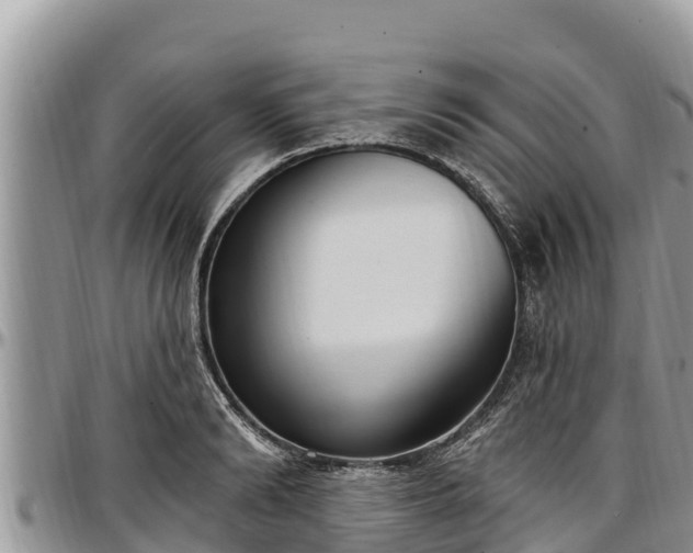 X0000097510894200802291616