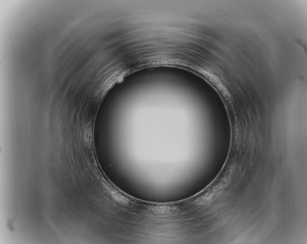 X0000097510897200802291616