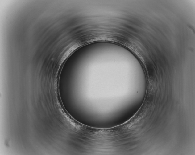 X0000097510898200802291616