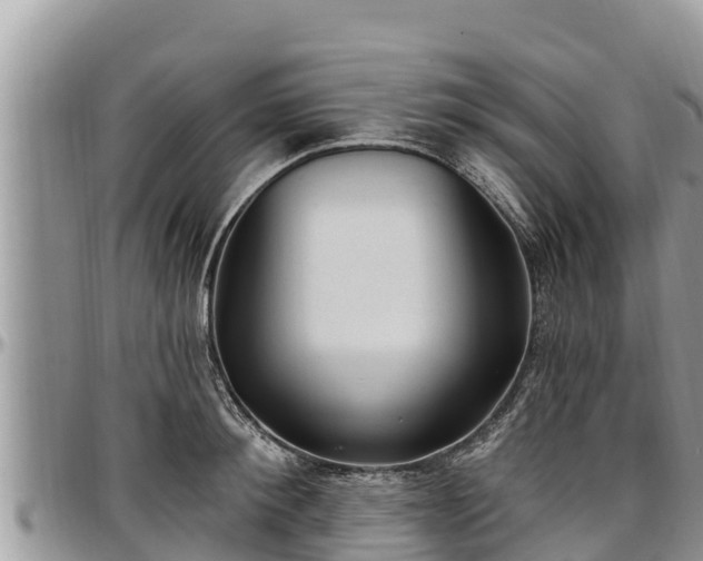 X0000097510900200802291616