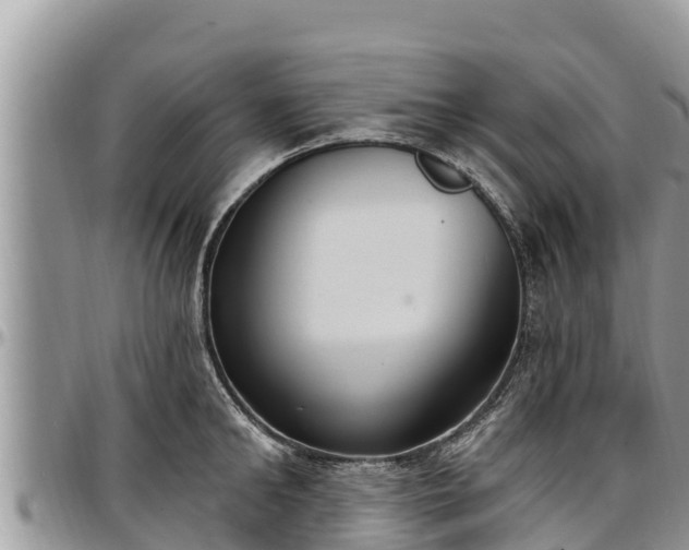 X0000097510902200802291616