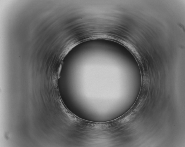X0000097510905200802291616
