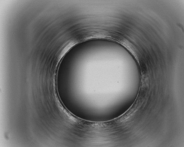 X0000097510906200802291616