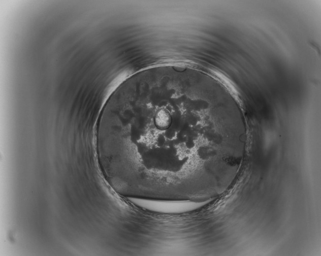 X0000097510907200802291616