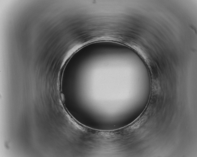 X0000097510910200802291616