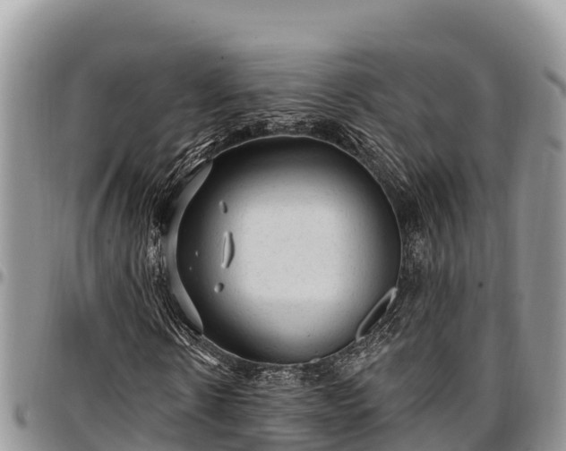 X0000097510914200802291616