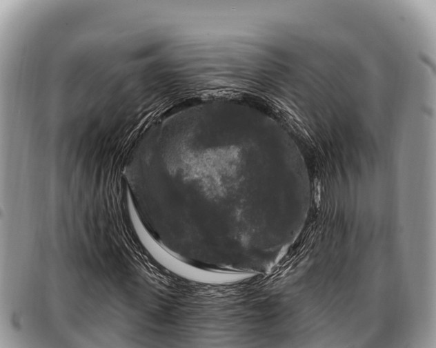 X0000097510915200802291616