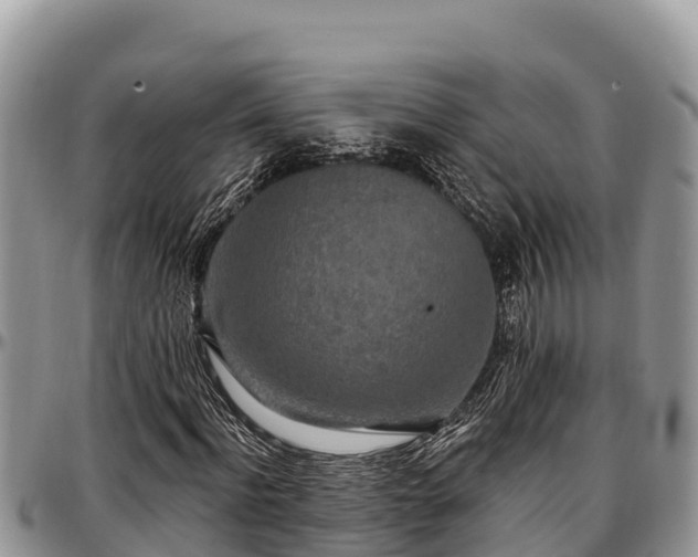X0000097510916200802291616
