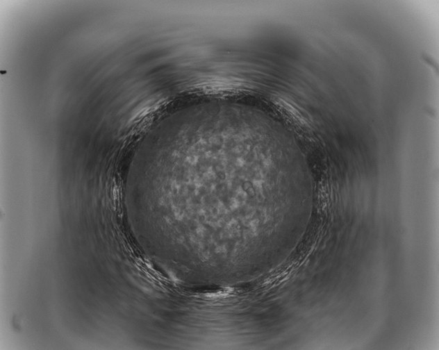 X0000097510917200802291616