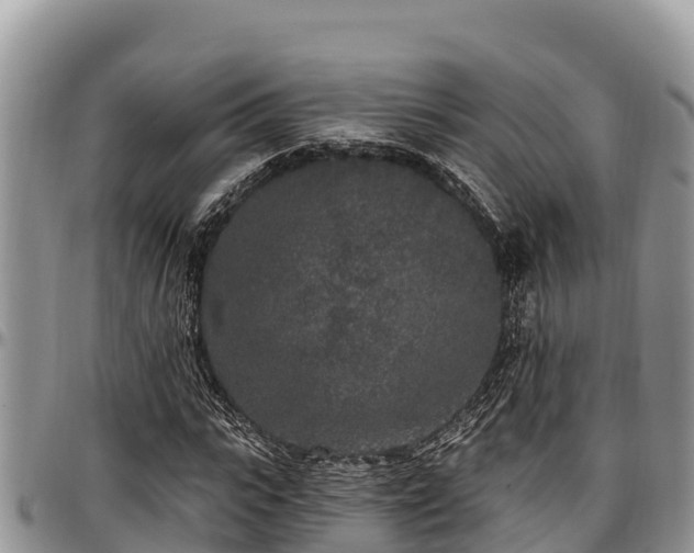 X0000097510919200802291616