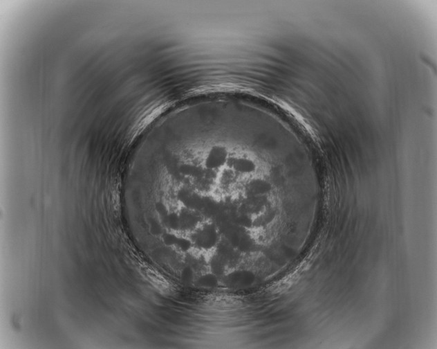 X0000097510921200802291616