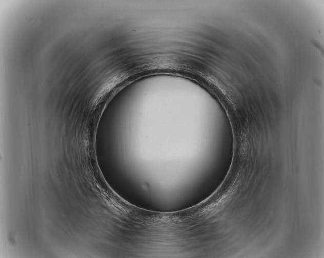 X0000097510922200802291616