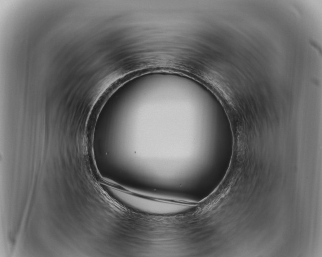 X0000097510924200802291616