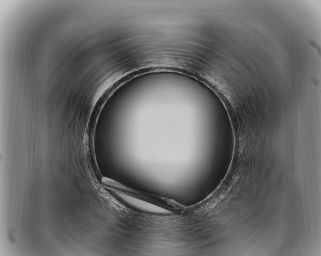 X0000097510928200802291616