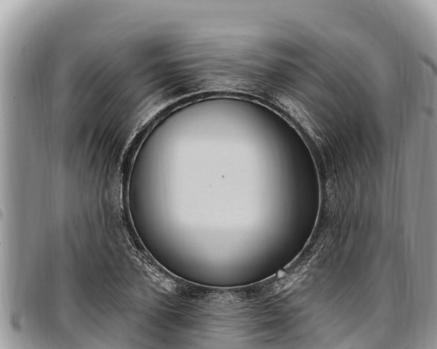 X0000097510931200802291616