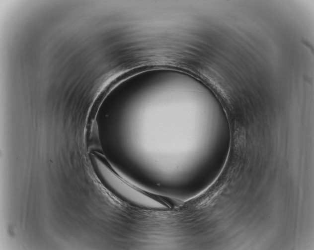 X0000097510932200802291616