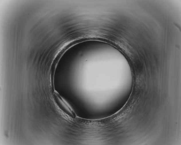 X0000097510934200802291616