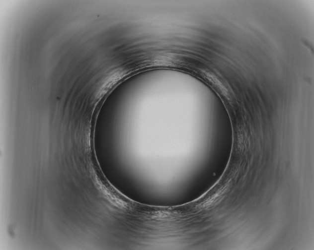 X0000097510938200802291616