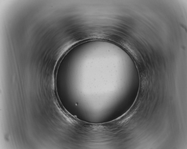 X0000097510940200802291616