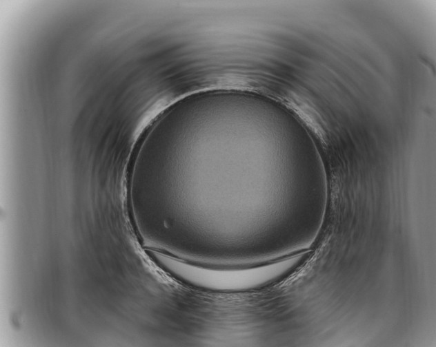 X0000097510944200802291616