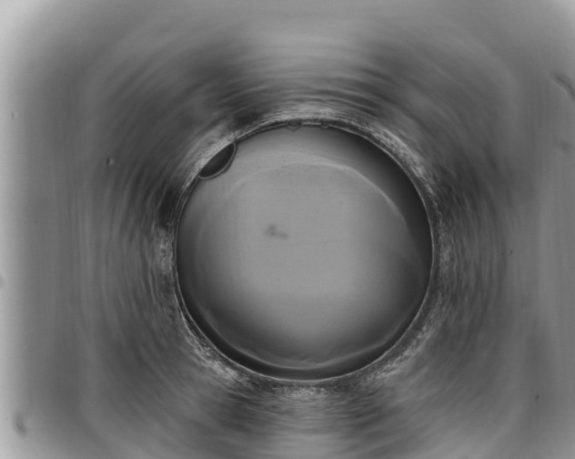 X0000097510945200802291616