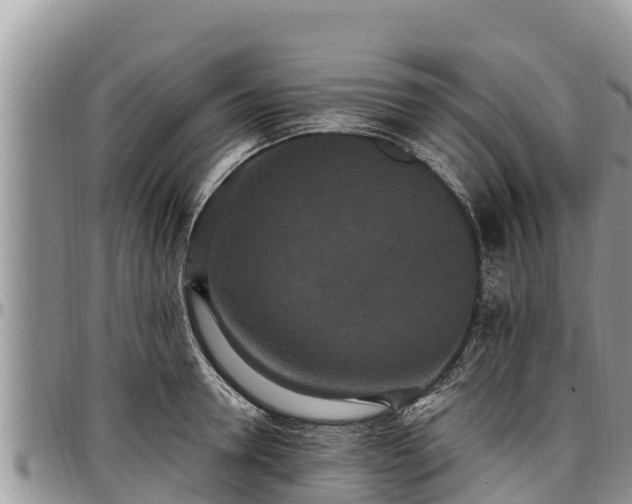 X0000097510946200802291616