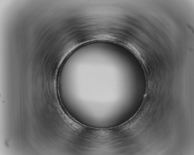 X0000097510947200802291616