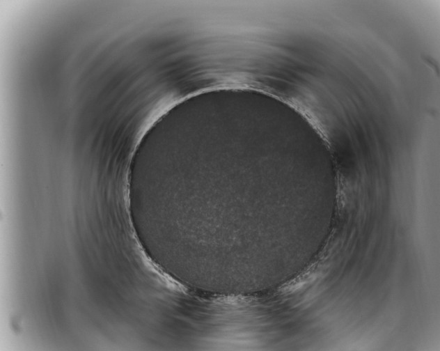 X0000097510950200802291616